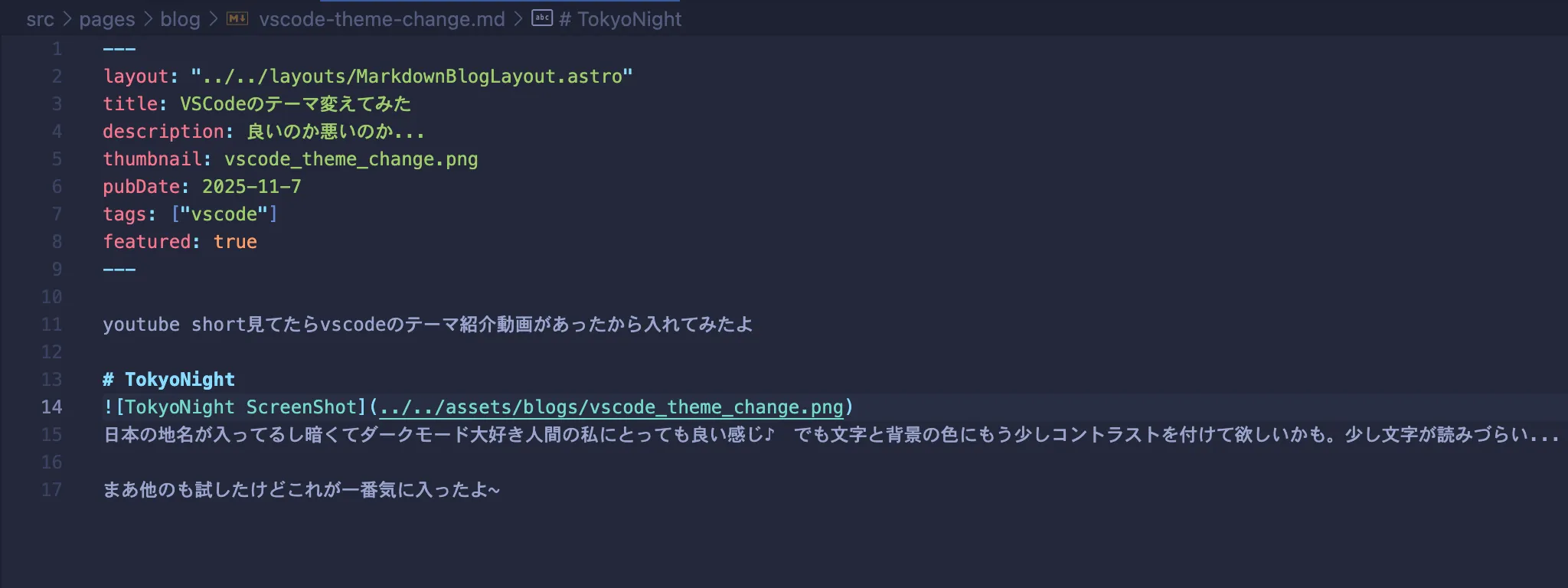 TokyoNight ScreenShot